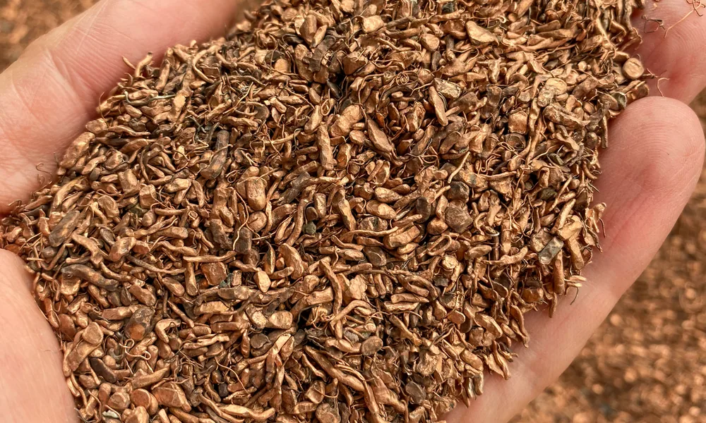 Copper granules recovered from shredded cable recycling